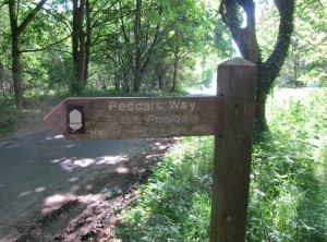 Knettishal Heath Peddars Way and Angles Way