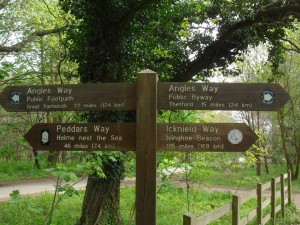 Angles Way at Knettishall Heath