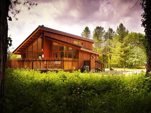 forest_holidays