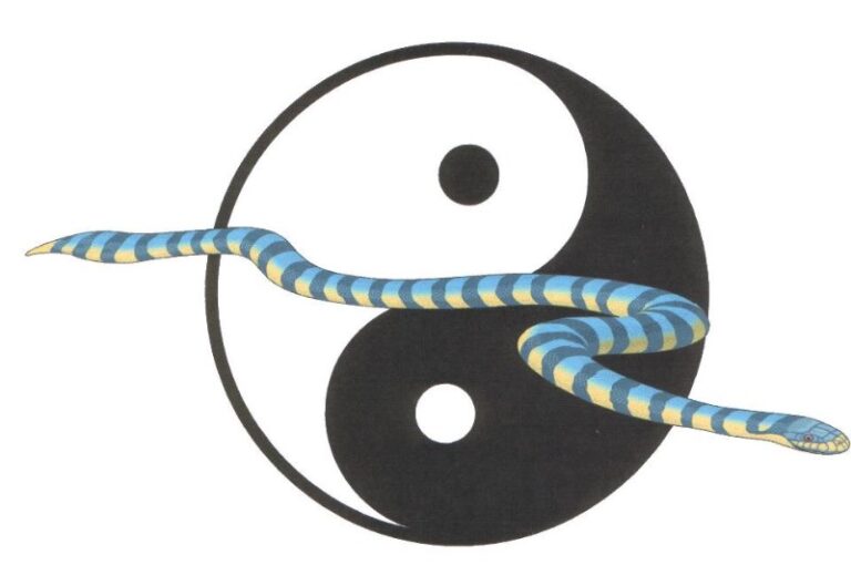 tai-chi