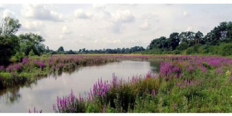 bto_reserve