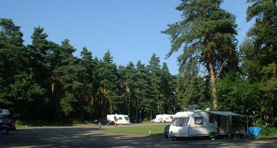 thetford_forest_campsite