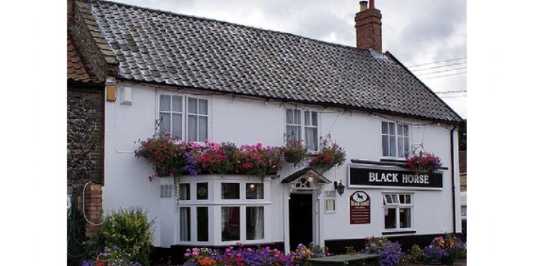 black_horse black_horse