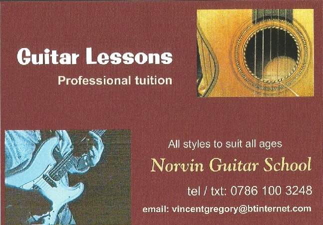 norvin_guitar