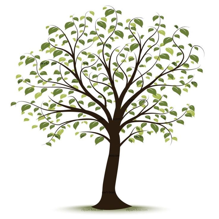 My-confidence-Tree