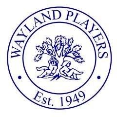 wayland-players