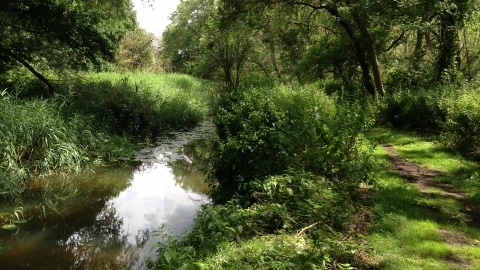 knettishall heath