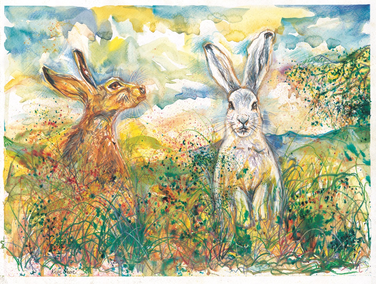 Leaping Hare Shop Card Kevin Moore
