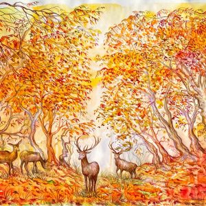 Leaping Hare Shop Card Kevin Moore