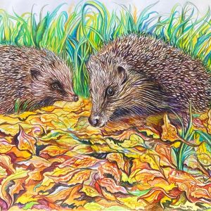 Leaping Hare Shop Card Kevin Moore