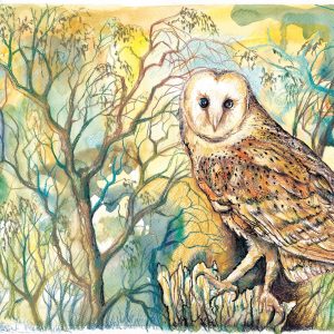 Leaping Hare Shop Card Kevin Moore