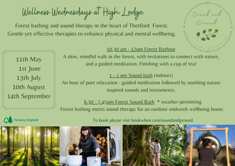 Wellness Wednesdays landscape 768x543